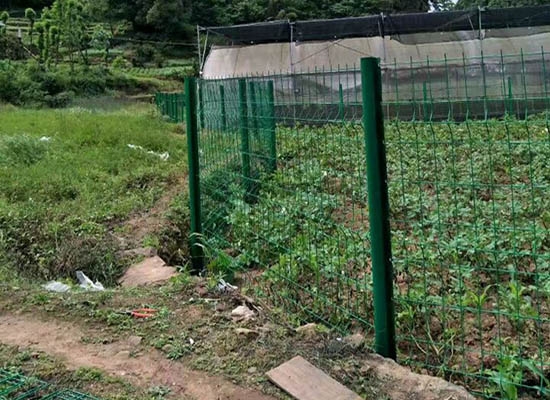 重慶桃形柱麻豆三级片大全